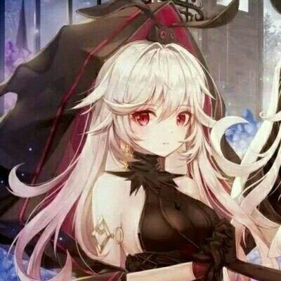 公司欠债倒闭五只猫咪员工被法拍
